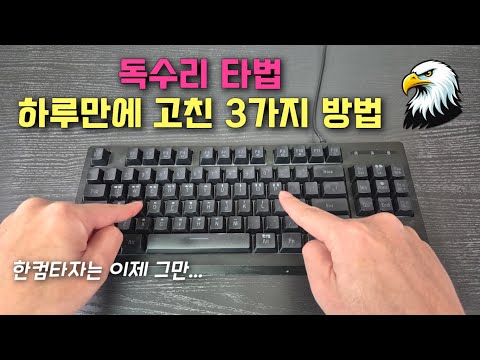 독수리타법👆 하루만에 정타로 고친 3가지 방법 (한컴타자만 백날 해봤자 빨리 못고칩니다...)
