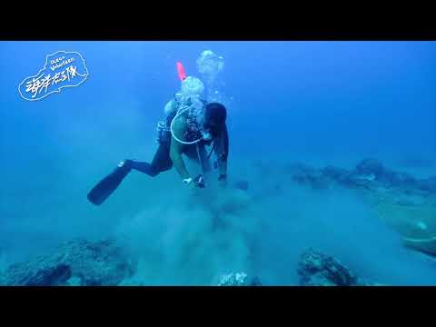 第457次水下清除活動紀錄 漁埕外26米 113 11 13