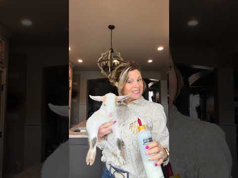 January 2026 Monthly Update