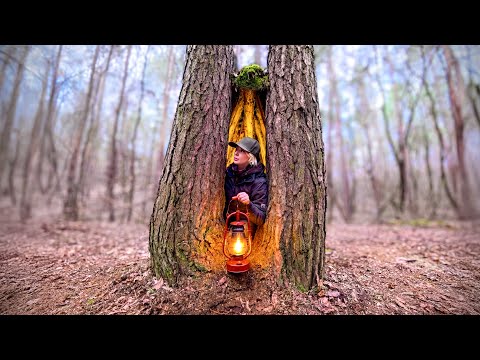 Building a Warm and Cozy Secret Dugout Between Trees | Bushcraft, Survival
