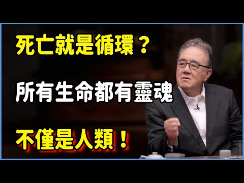 【圓桌派第八季最新】死亡就是循環？所有生命都有靈魂，不僅是人類！ #圆桌派 #窦文涛 #脱口秀 #真人秀 #圆桌派第八季 #马未都
