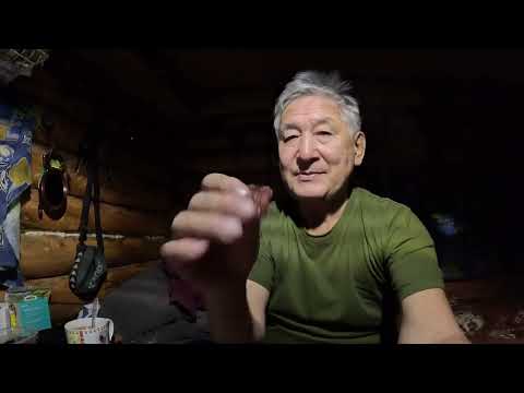 Sable hunting. Traps are working, the first sables are here. Yakutia.