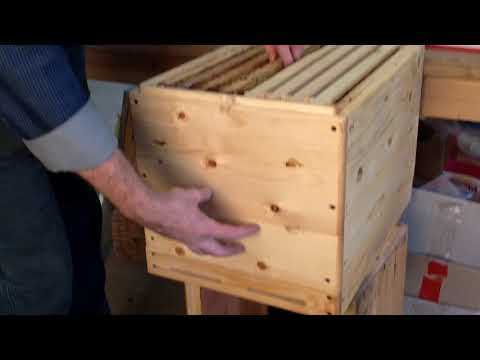 Український корпусний вулик. Beekeeping (04.02.2020р.)