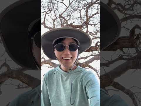 Tanzania D2: Tarangire National Park🐘