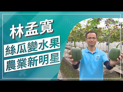 草地狀元-絲瓜也能當水果吃？ 水果絲瓜農業星探(2021.12.20播出)