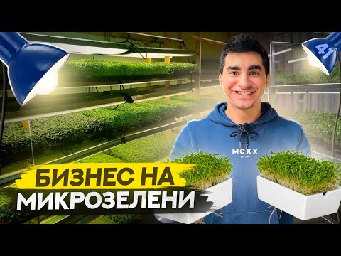 Starting with 5,000 rubles. A city farm in your own home. Microgreens business.