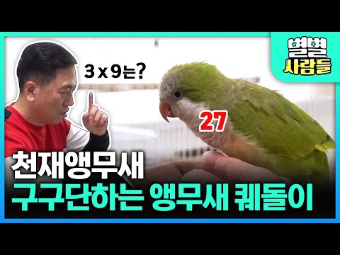세계최초! 구구단하는 천재 앵무새가 있다 (ㅎㄷㄷ)  [ 별별사람들 ] 20210410