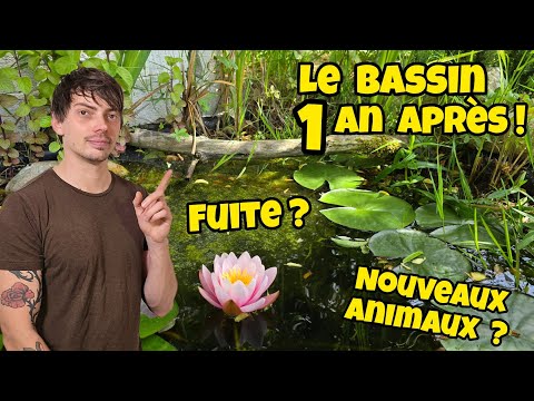 Une espèce protégée est venue s'installer dans mon bassin !! #REOLINK