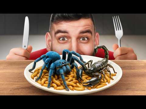 I Cooked Every Exotic Insect