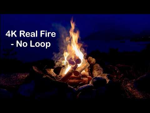 TV Fireplace 4K - Real Night Campfire with Crackling Sound by Norwegian Coast, No Loop, Cabin Lights
