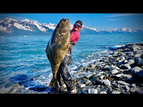 Giant Alaskan HALIBUT on a RENTAL boat! {Catch Clean Cook} my biggest EVER