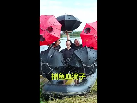 罗非酒一坛500块?赶紧制作“捕鱼血滴子”这个年要肥着过 #我的乡村生活 #户外 #抓鱼 #幸福乡村有年味 