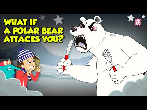 What if a Polar Bear Attacks You? | How to Survive Bear Attack? | Deadliest Animals | Dr Binocs Show