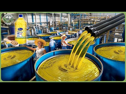 How Soybean Oil Is Made - Massive Process of Million Tons of Soybean Oil, Milk & Tofu