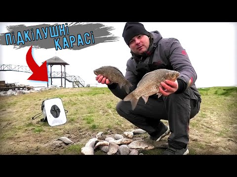 Які там Фідера‼️Сезон Дубасити на Спеціальну снасть‼️