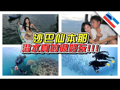 🇲🇾这是只有去潜水才能看到的世界！/仙本那/沙巴/Sabah/