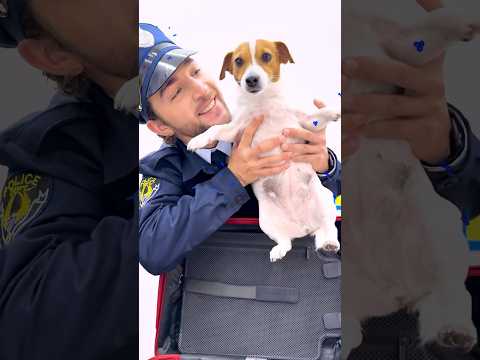 Kids learn Airport rules - Useful story for kids