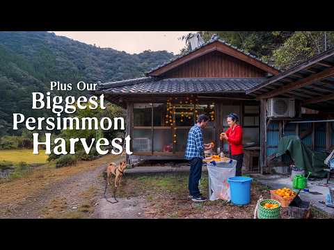 What Autumn Was Like This Year in the Japanese Countryside