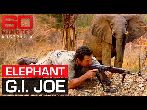 Meet the Aussie rambo fighting to save Africa's elephants | 60 Minutes