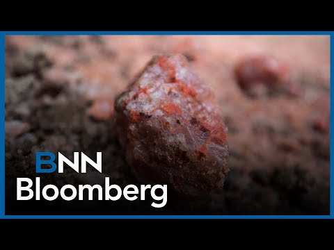 Trump's tariffs onto Canadian potash it will result in prices being pass on to the farmers: Simpson