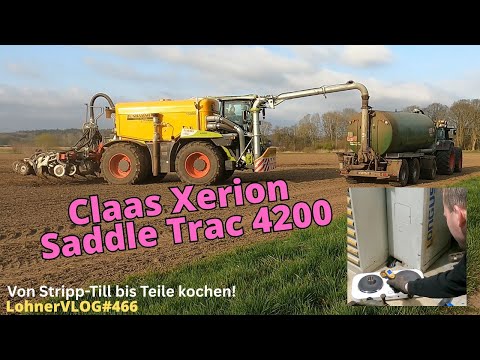 LohnerVLOG#466 Claas Xerion Saddle Trac 4200 beim Strip-Till mit Vollmer I Fendt Xylon Vorderachse
