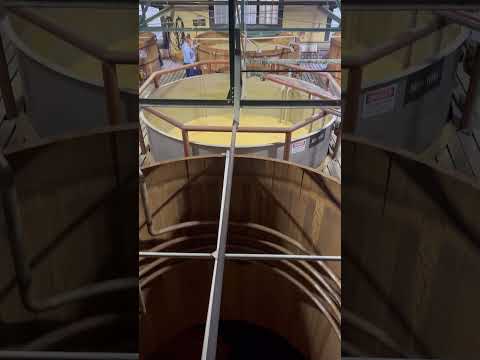 Fermenter Room at the Four Roses Distillery 🌹🥃 #FourRosesBourbon