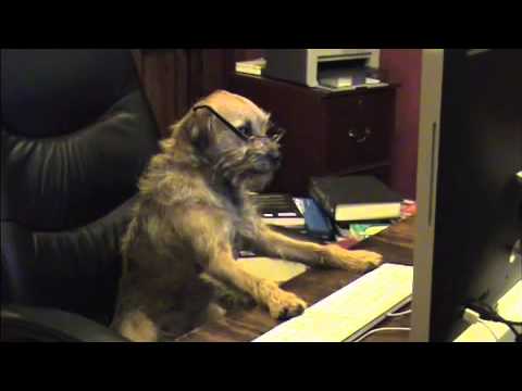 Swim the Fly by Don Calame