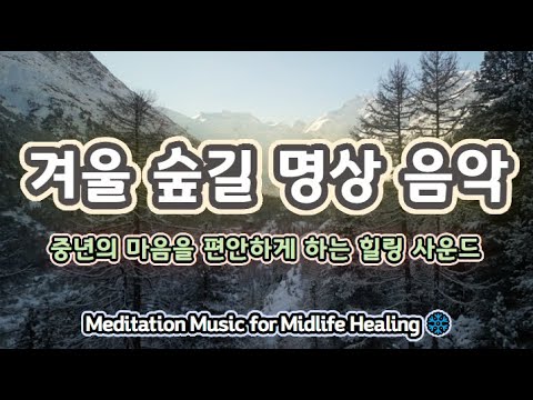 🎯 고요한 겨울 숲길 명상 음악｜중년의 마음을 편안하게 비워주는 힐링 사운드 ✅#명상음악  #고요한명상 #중년명상 #힐링음악 #마음비우기#겨울힐링음악 #명상음악추천 #마음치유음악