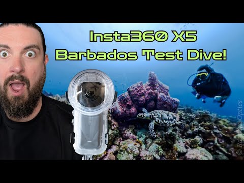 Insta360 X5 Invisible Dive Case: Is It Worth It? (Barbados Reef Dive and Lionfish Hunting)
