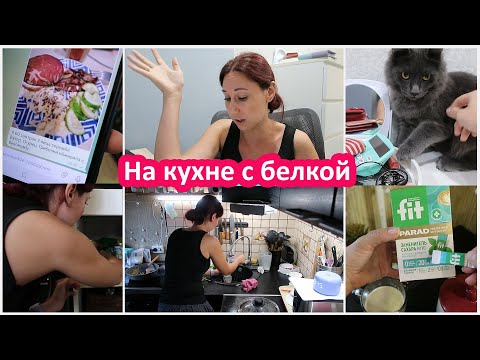 Vlog in the kitchen with a squirrel