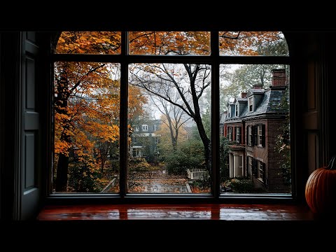 Relaxing Fall Rain In Boston🍂🌧️Calm Rain Ambience For Reading, Sleeping, Etc.