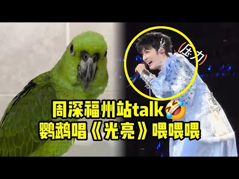【周深】福州演唱会day2：周深8G冲浪鹦鹉模仿翻唱光亮片段，调侃感受到非常多压力，一只鹦鹉唱歌好好听！现场模仿起了鹦鹉，好听！网速真快啊！这个“割手”魔术给我萌晕了手忙脚乱但是非常精彩，哈哈！