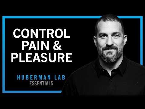How to Control Your Sense of Pain & Pleasure | Huberman Lab Essentials