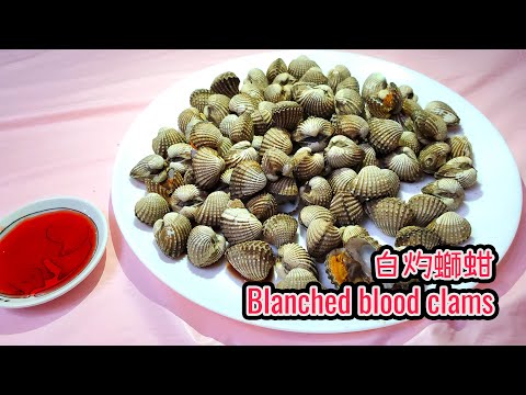 白灼螄蚶 || 螄蚶煮法 || 鰤魽配大紅浙醋 || 白灼血蚶 || 血蚶 || 如何處理螄蚶 || How to cook blood clams || Blood clams blanching