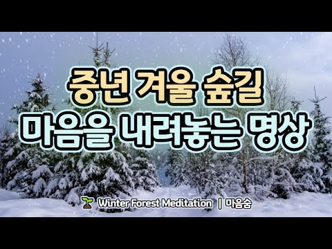 ❄️ 중년 겨울 숲길에서 마음을 내려놓는 명상 | 고요 속 깊은 쉼 🌱 매일 아침 9시 · 저녁 9시, 중년의 하루를 지켜주는 치유 명상｜마음숨 🍃#중년명상 #중년힐링 #마음치유