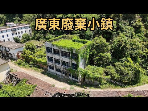 廣東5000人的小鎮20年竟變成5個人的村子，僅有壹家超市在堅守，到底發生了什麽？【花花樂遊記】
