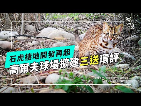 高球開發與石虎棲地之爭：鴻禧太平高爾夫球場擴建三度送案(公視我們的島 第1309集 2025-06-02)
