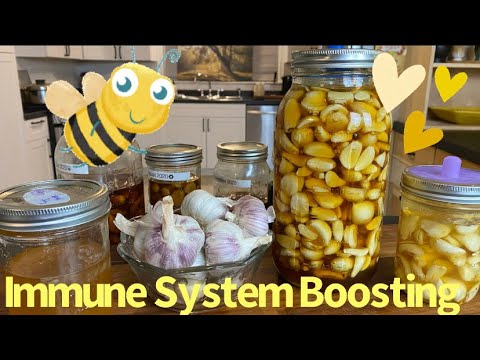 How to Make HONEY Fermented GARLIC: Immune Boosting #YouTube  #honeyfermentedgarlic #ferment