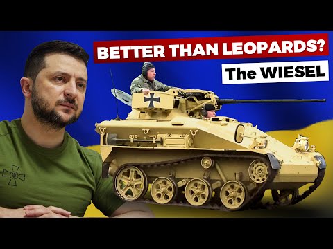 Wiesels for Ukraine? Ukraine Veteran's View