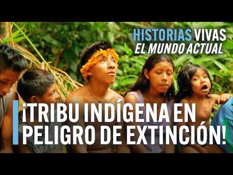 Tribu Awá: Al Borde del Exterminio en el Amazonas | Historias Vivas | Documental HD