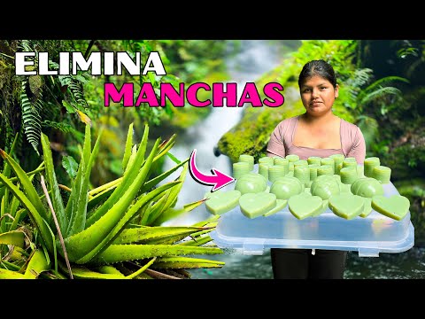 Como hacer JAVON DE SAVILA 100 % NATURA para cuidar nuestro rostro - NATHALIA