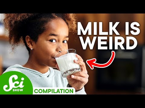 The Science of Animal Milk: From Cows to Cockroaches