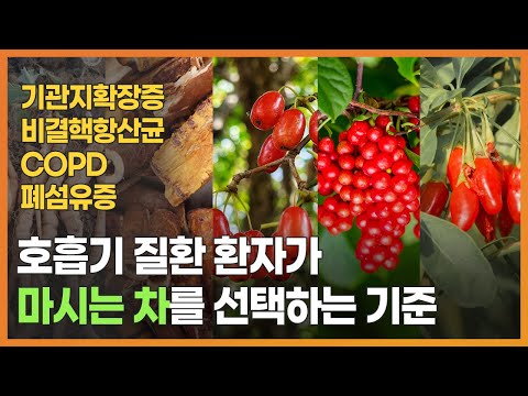 호흡기 질환에 도움이 되는 '차'의 종류