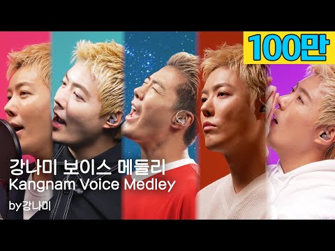 강나미보이스 메들리 🎵"저 가수입니다🎤" by강남