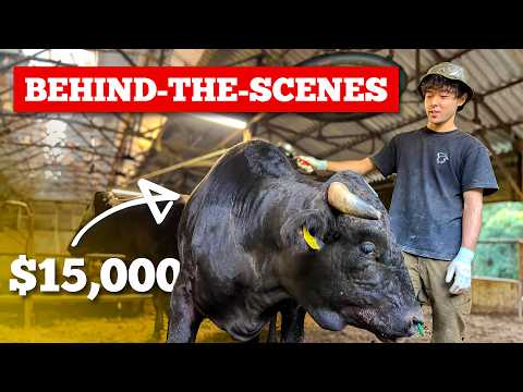 How Kobe Beef became the Wagyu to rule them all