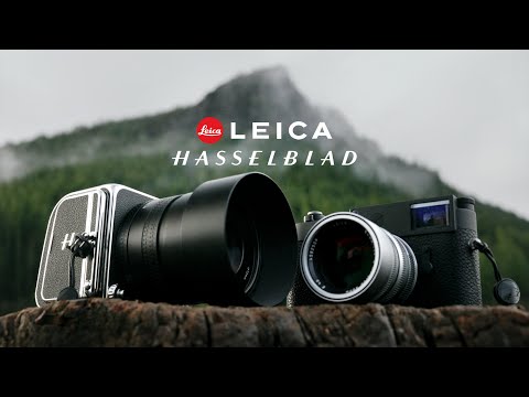 Hasselblad 907X vs Leica M11 | Battle of Luxury Cameras