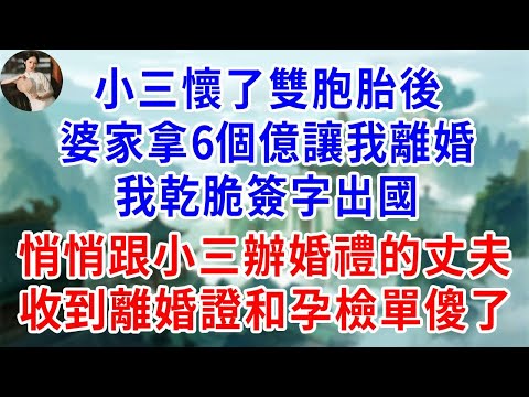 小三懷了雙胞胎後，婆家拿6個億讓我離婚，我乾脆簽字出國，悄悄跟小三辦婚禮的丈夫，收到離婚證和孕檢單傻了#為人處世#生活經驗#情感故事#故事#小說#戀愛#情感#婚姻