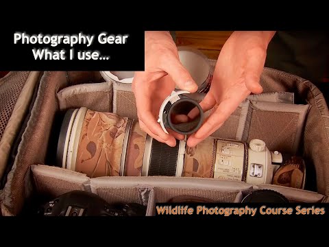 The Camera Gear I Use For Wildlife Photography - Wild Photo Adventures