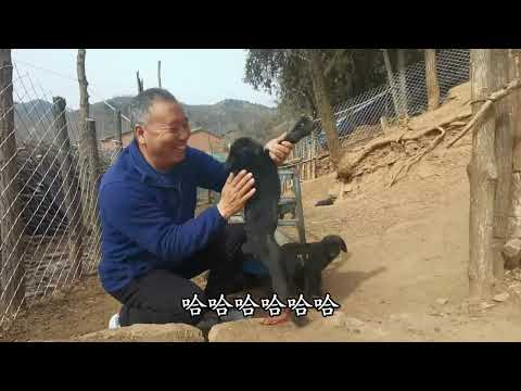 黑家口村里，古官道路边，九十一岁老人精神好！#上党关遗址