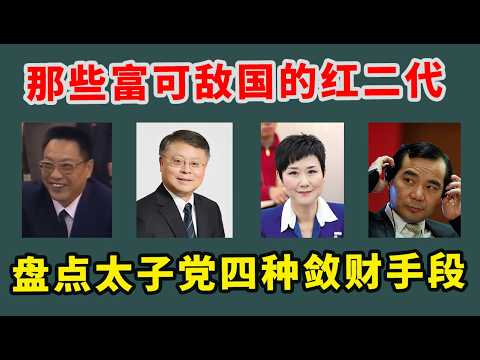 【枫说】杨兰兰是怎么来的？盘点中共太子党四种“敛财”致富发家史 |  红二代 | 江泽民 | 邓小平 | 温家宝 | 李鹏 | 江志成 | 江绵恒 | 李小琳 | 邓朴方 | 六四 | 习近平